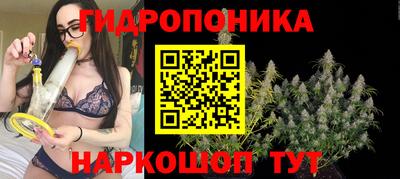 альфа пвп Славгород