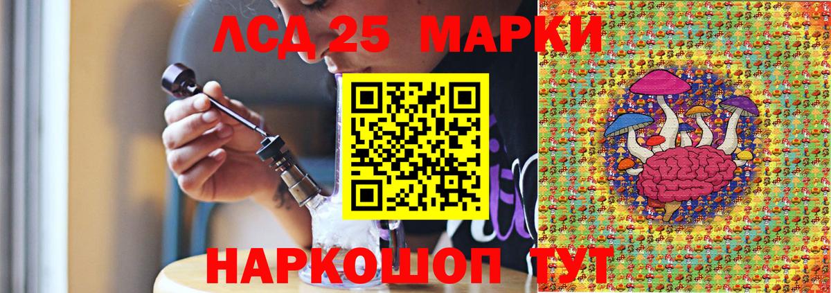 Псилоцибиновые грибы Томск