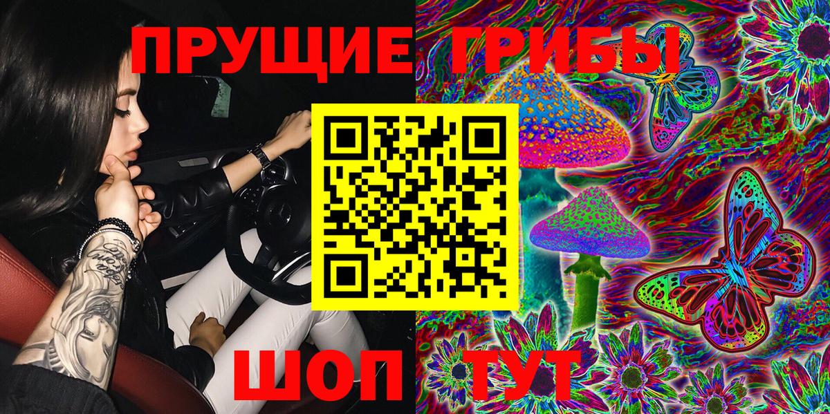 Галлюциногенные грибы MAGIC MUSHROOMS Томск
