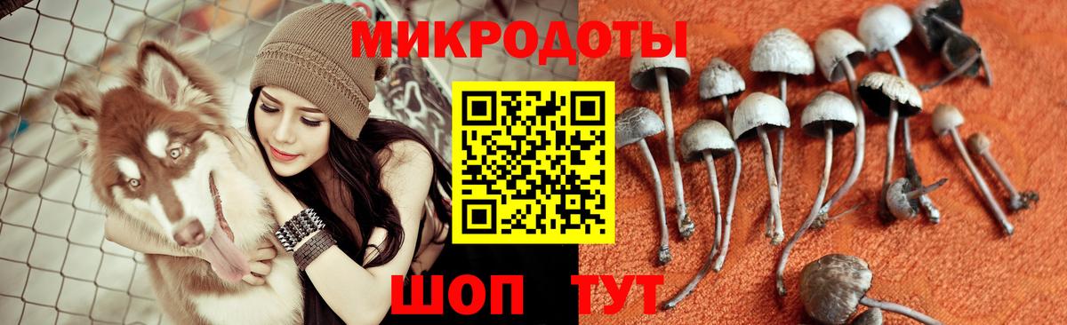 Галлюциногенные грибы Psilocybine cubensis  Псилоцибиновые грибы Psilocybine cubensis  Вход с VPN  Томск 